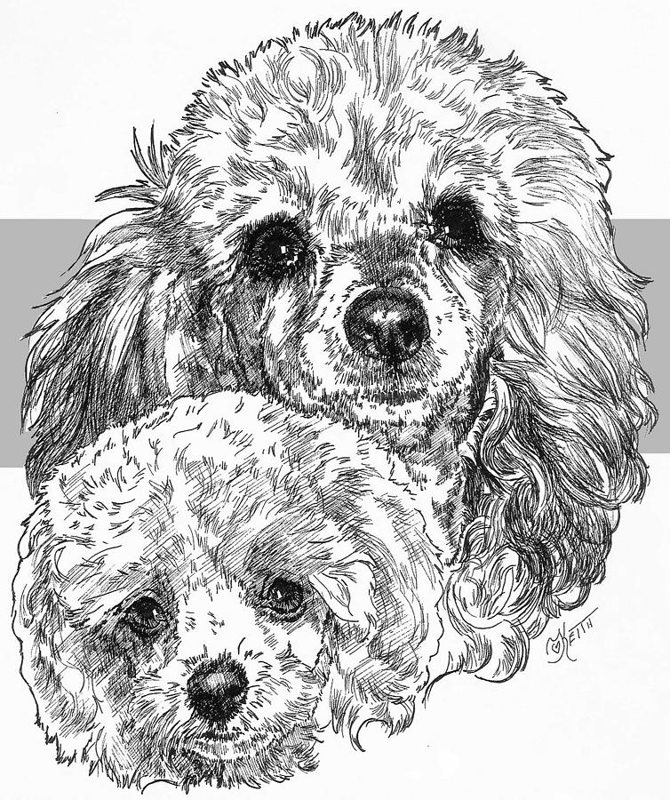 Toy Poodle and Pup Drawing by Barbara Keith