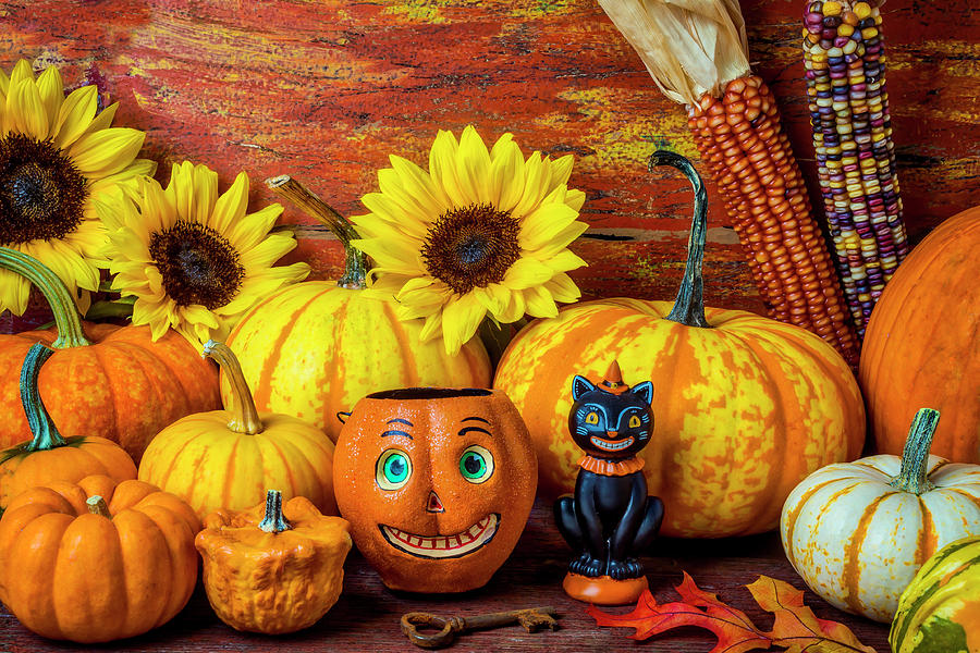 Pumpkin Photograph - Toy Pumpkin And Black Cat by Garry Gay