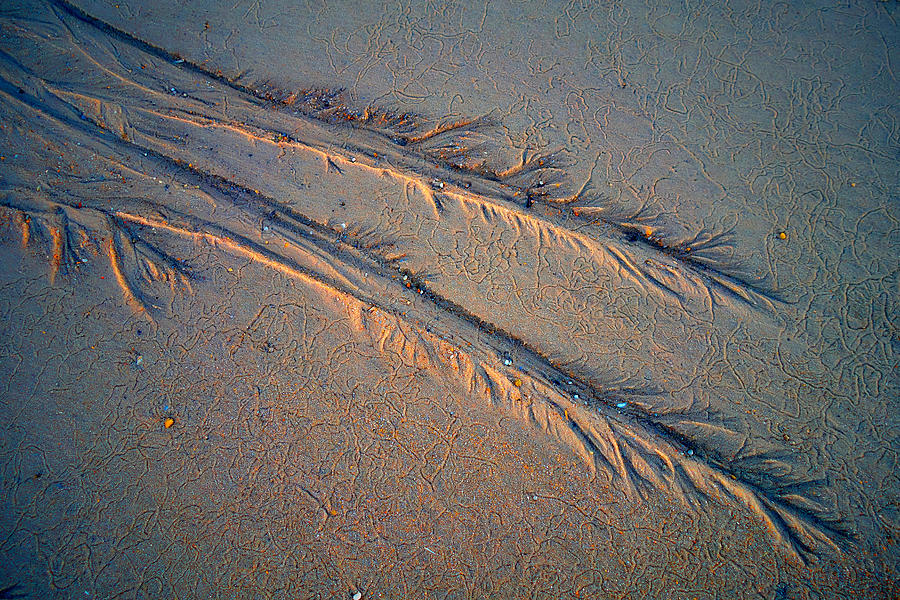 Traces On The Beach At Sunrise Photograph by Bodo Balzer