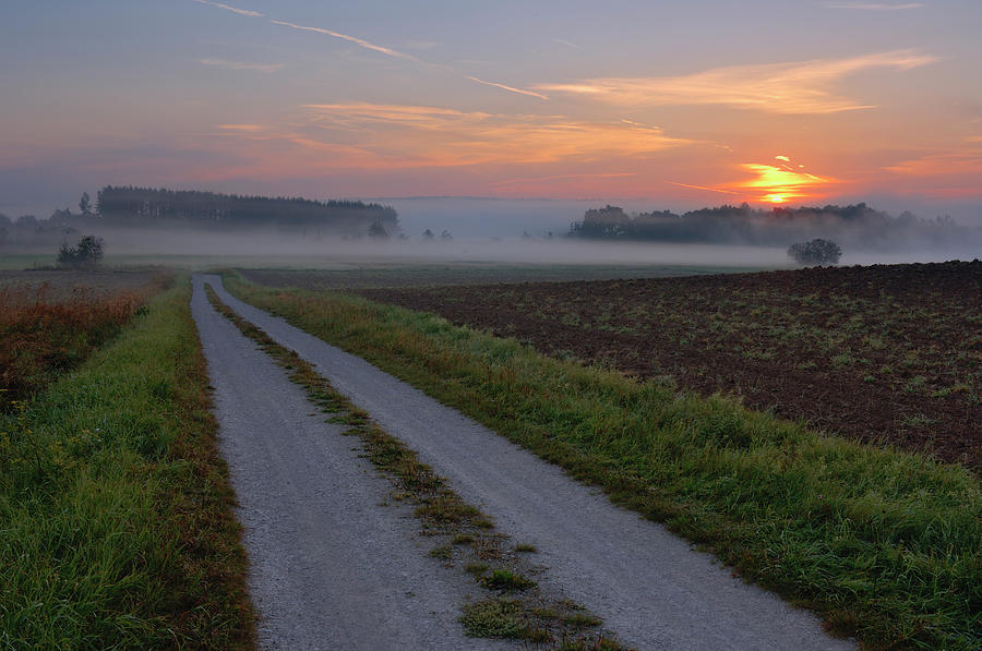Track And Mist At Sunrise Photograph by Martin Ruegner