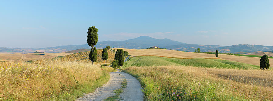 Track Through Rolling Landscape Photograph by Martin Ruegner