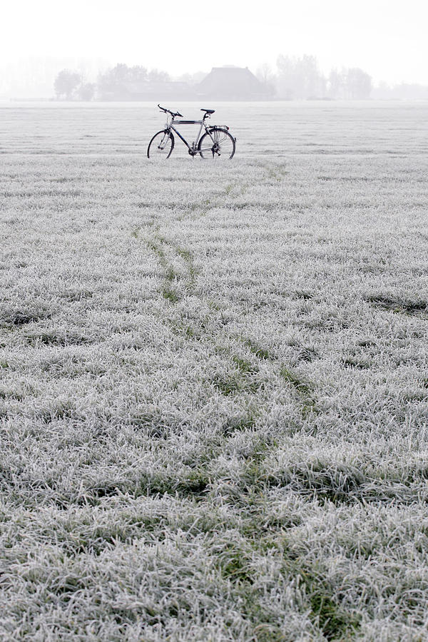 Tracks & Bicycle Photograph by Marcel Ter Bekke