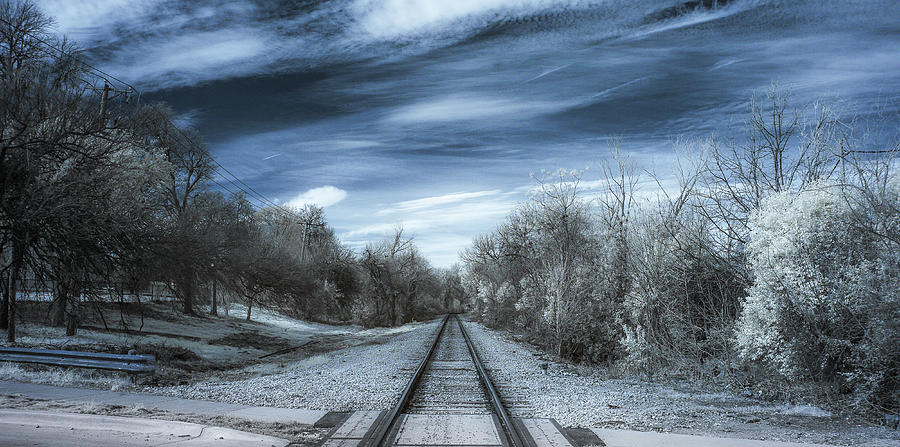 Tracks In Mistletoe Heights, Fort Worth Photograph by Greg Westfall