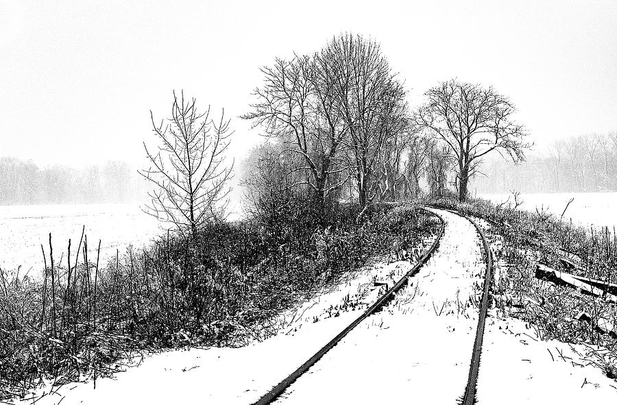 Tracks in Snow Photograph by Tom Romeo
