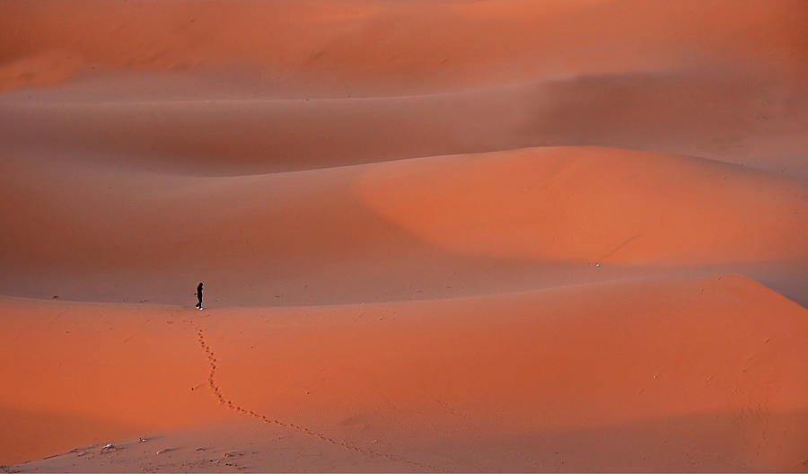 Tracks In The Dunes Photograph by Peter Hammer