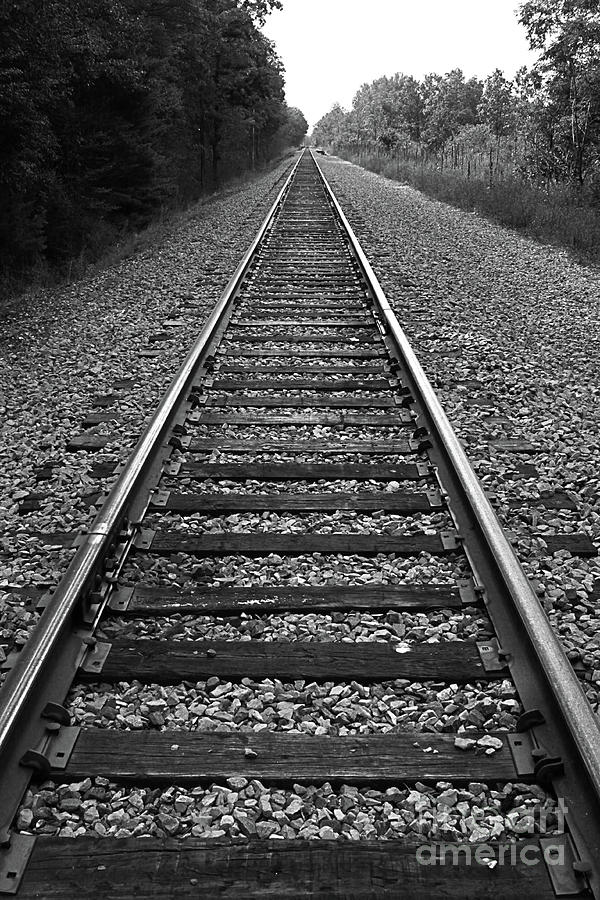 Tracks Photograph by Sheldon Perry - Fine Art America