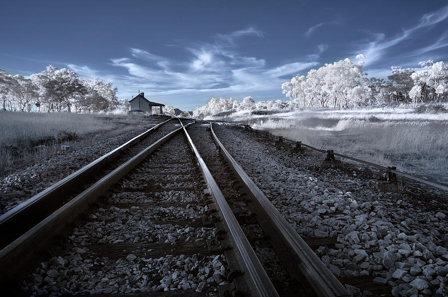 Train Photograph - Tracks To Nowhere by Nicolas Marino