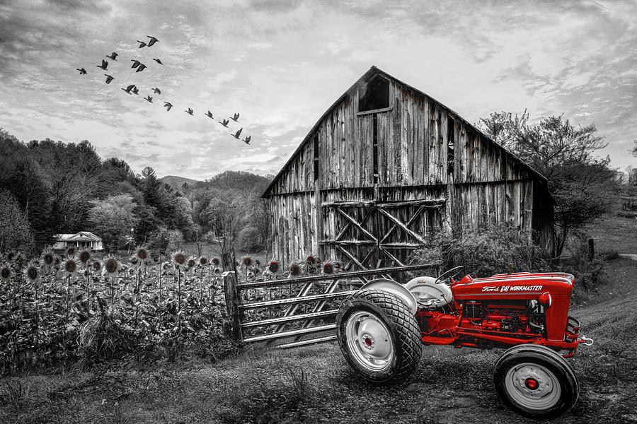 Tractor at the Farm in Black and White and Red Photograph by Debra and Dave Vanderlaan