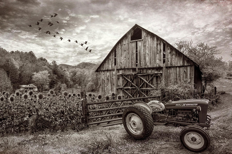 Tractor at the Farm in Vintage Sepia Photograph by Debra and Dave Vanderlaan