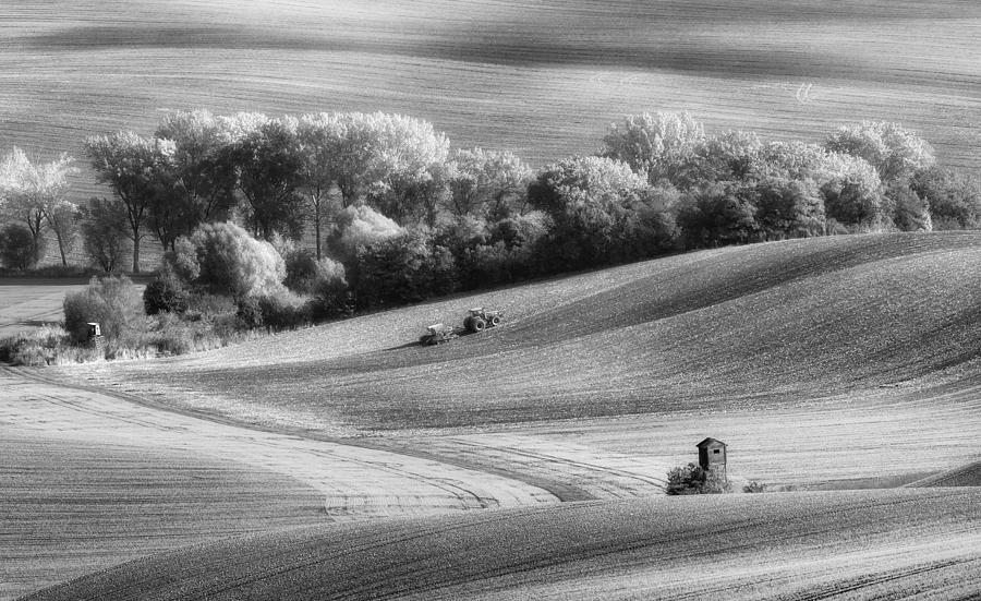 Tractor Photograph by Piotr Krol (bax)
