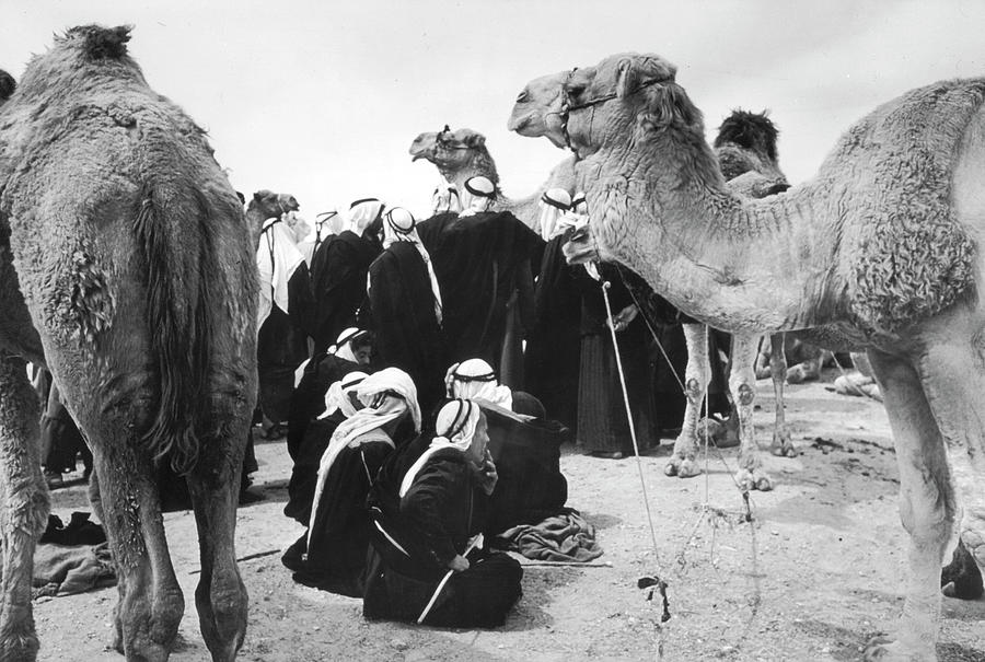 Traders At A Camel Market Photograph by Alfred Eisenstaedt