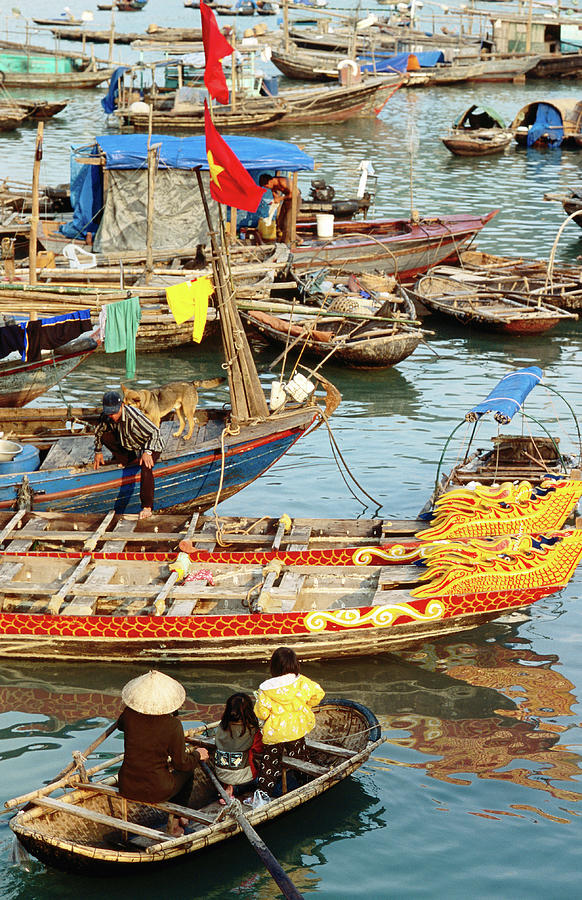 Trading On Boats In Halong Bay, Dao Cat Photograph by Anthony Plummer Trading On Boats In Halong Bay, Dao Cat Photograph by Anthony Plummer