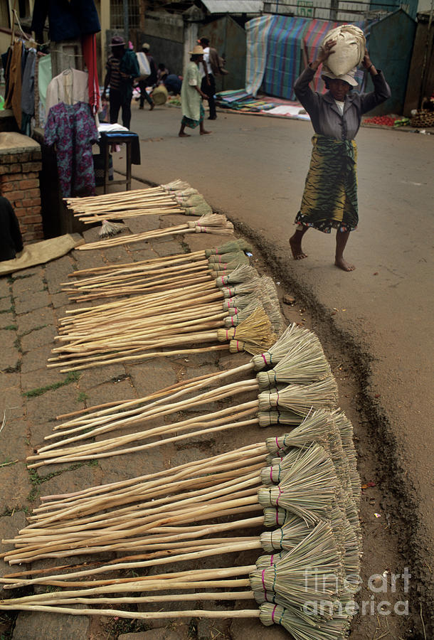 Traditional Brooms Photograph by Science Photo Library Traditional Brooms Photograph by Science Photo Library