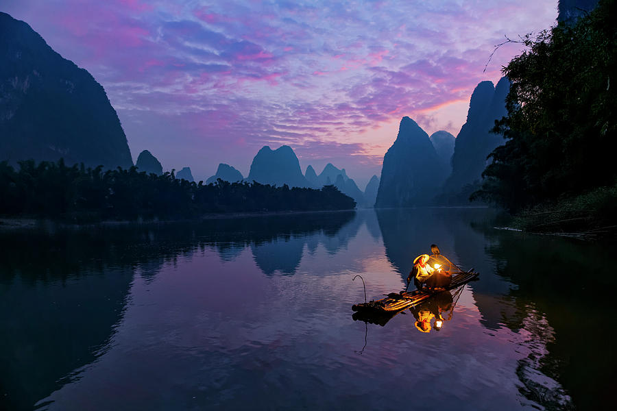 Traditional Chinese Cormorant Photograph by Adam Jones - Fine Art America