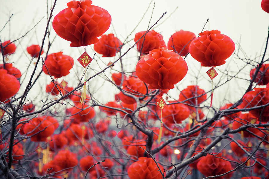 Traditional Chinese Lanterns Photograph by Eastimages