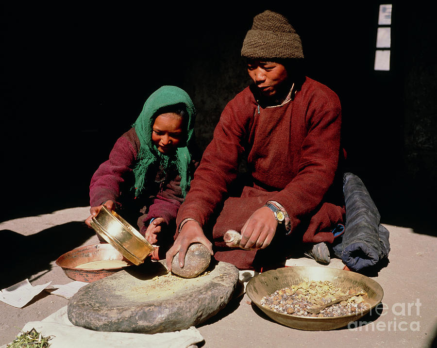 Traditional Doctor Making Herbal Medicine Photograph by Simon Fraser/science Photo Library