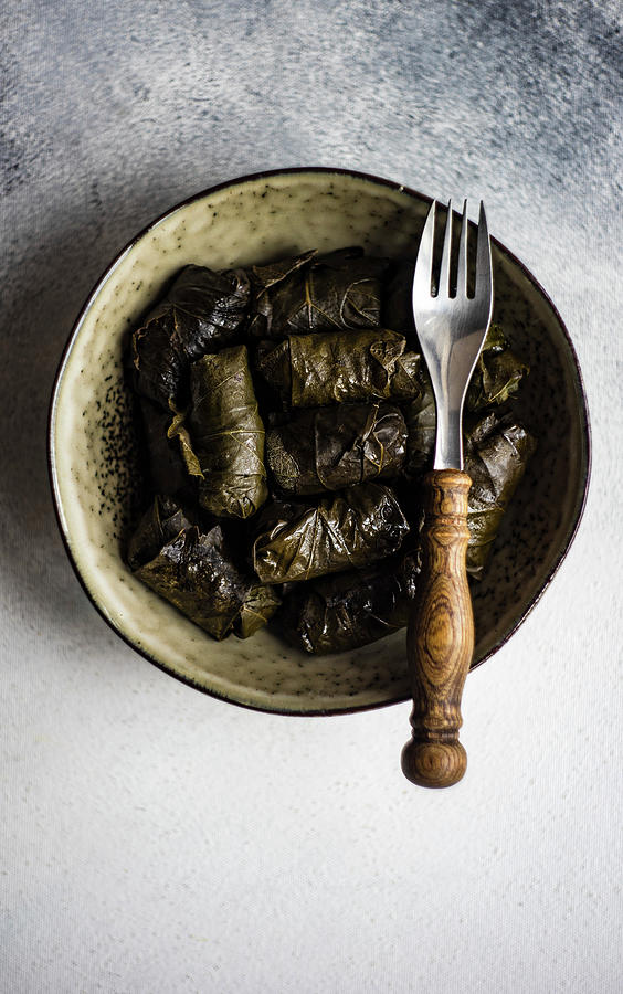 Traditional Georgian Tolma In Vine Leaves Photograph by Anna Bogush