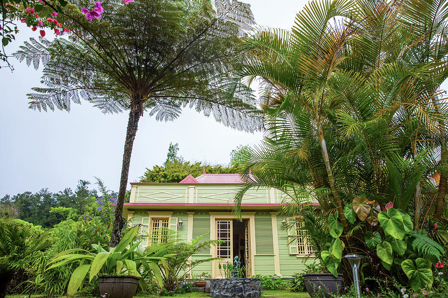 Traditional Green Wooden House And Palm Trees, Reunion Island Digital ...