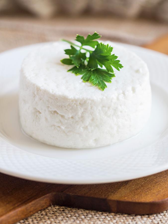 Traditional Portuguese Fresh Goat Cheese queso Fresco Photograph by Magdalena Paluchowska