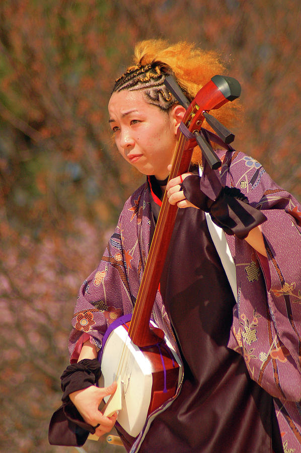 Traditional shamisen musician Photograph by James Kirkikis