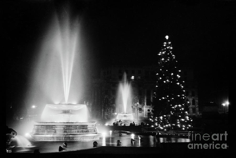 Christmas Photograph - Trafalgar Square, Fountains And The Christmas Tree In Trafalgar Square, London by 