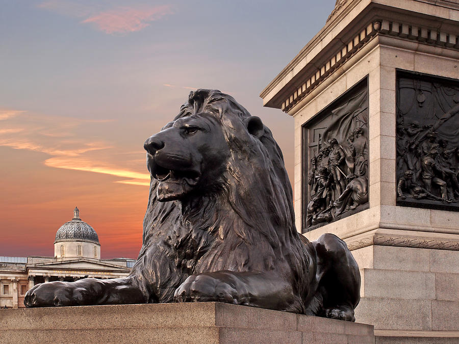 Trafalgar Square Lion Nelsons Column And National Gallery Photograph by Gill Billington