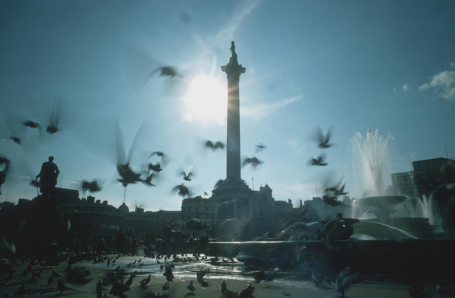 Trafalgar Square Pigeons Photograph by Epics