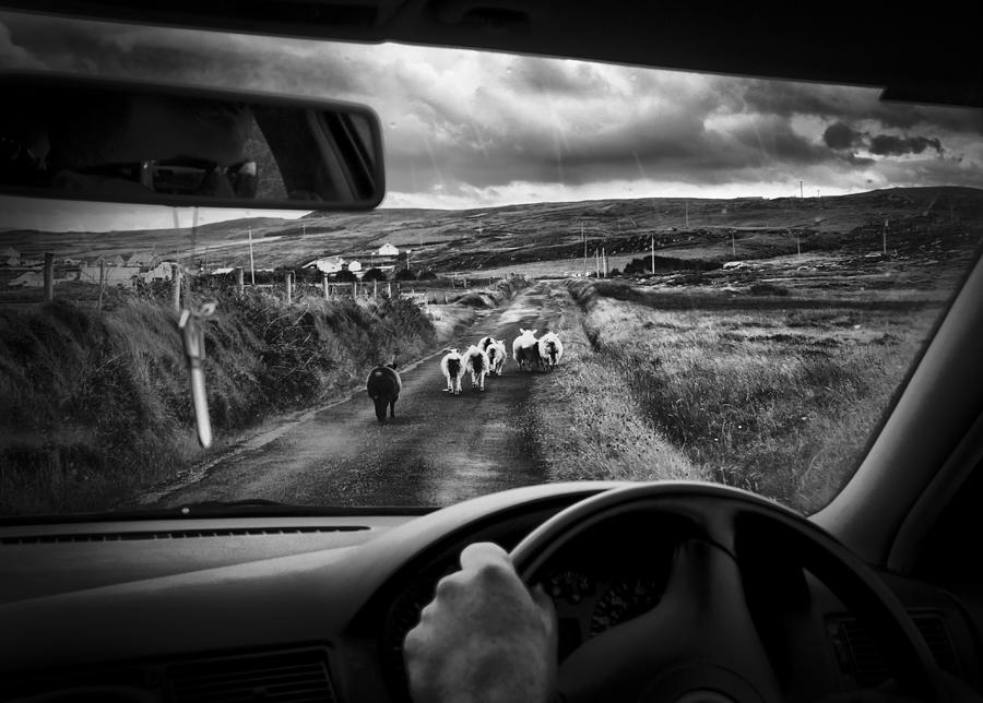 Black And White Photograph - Traffic Jam In Ireland by Richard  Bires