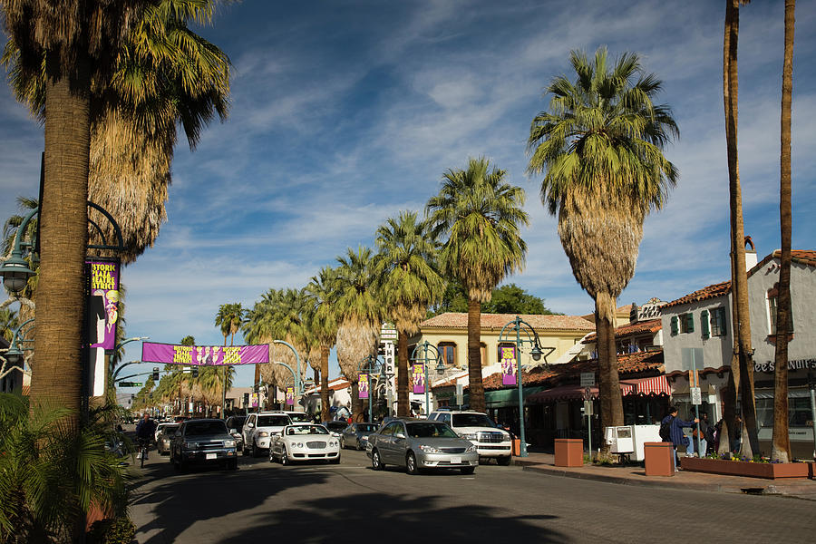 Traffic On Road With Palm Trees Photograph by Panoramic Images - Fine ...