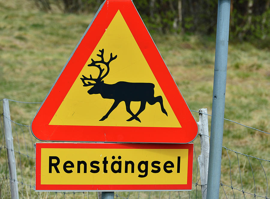 Traffic Sign Wildwechsel / Renstngsel, Ytterturingen, Hrjedalen, Sweden Photograph by Torsten Rathjen