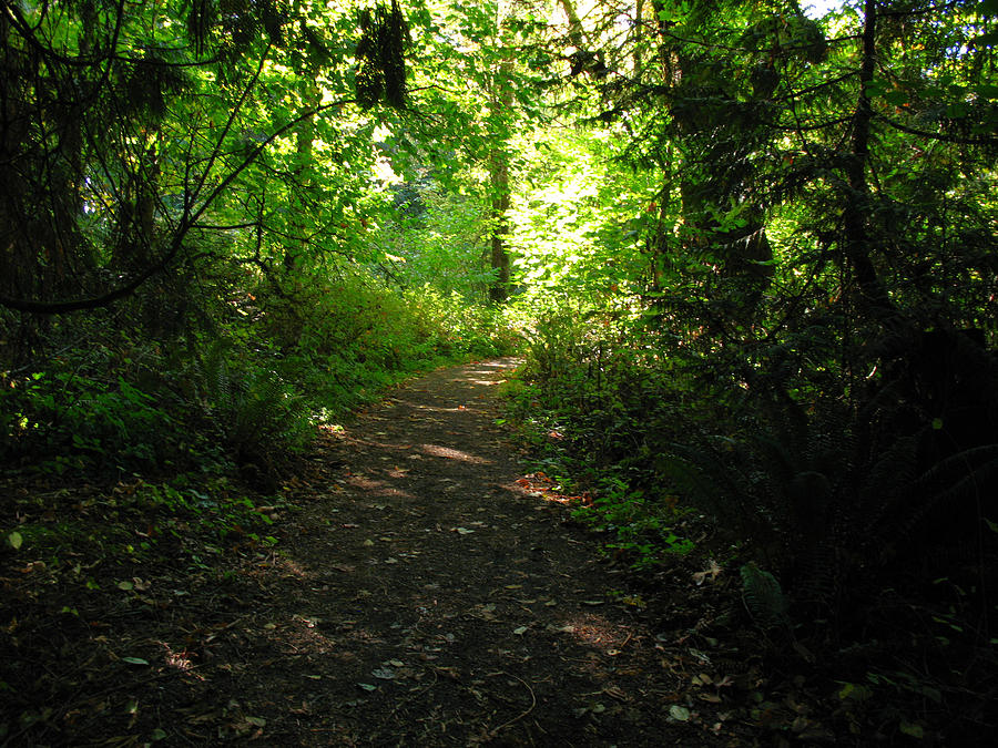 Trail At Tualatin River National Photograph by Donna62