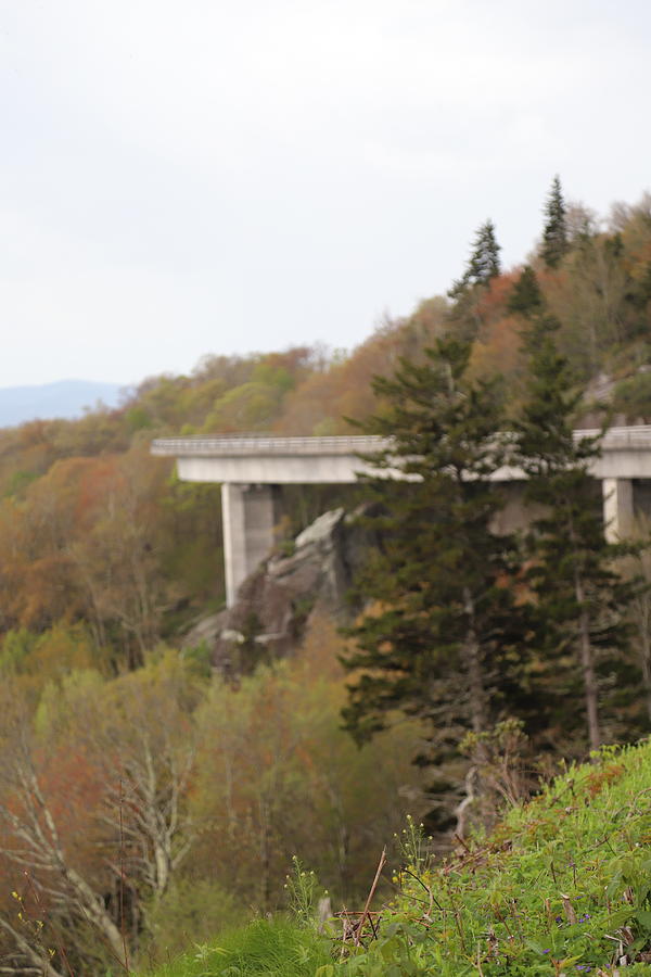 View From Trail Beside Linn Cove Viaduct 5 Photograph
