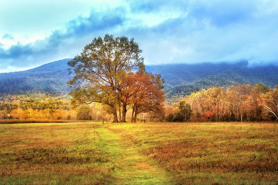 Trail in Autumn at Cades Cove Photograph by Debra and Dave Vanderlaan