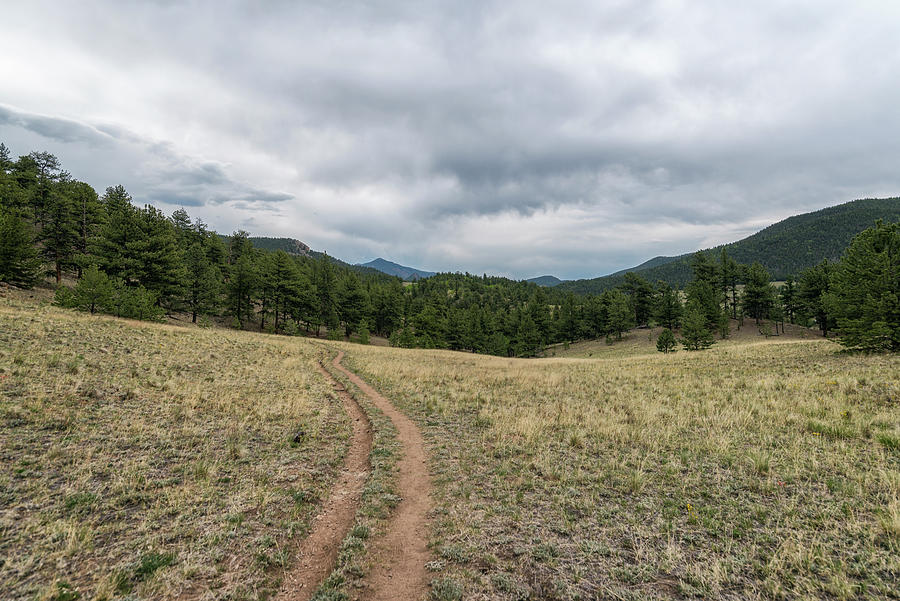 Trail In The Lost Creek Wilderness Photograph By Cavan Images - Fine ...