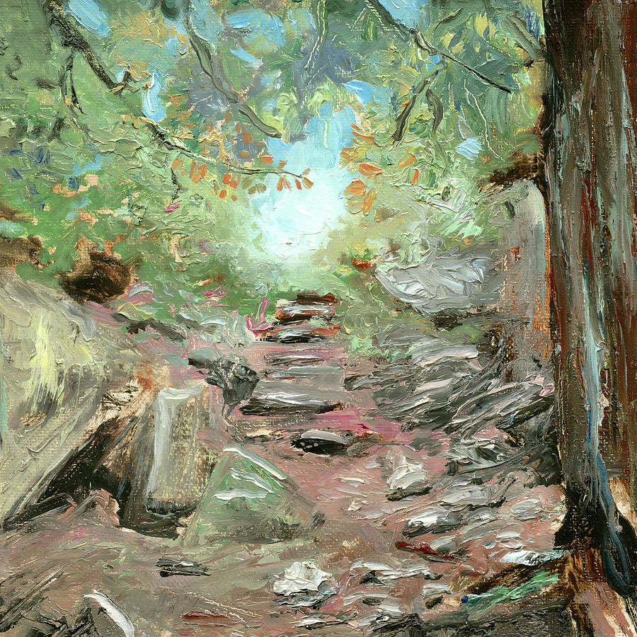 Lakes Rivers Painting - Trail In Woods by Sandra Iafrate