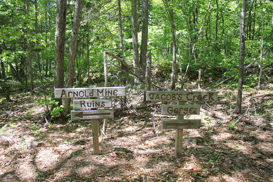 Trail Markers Photograph