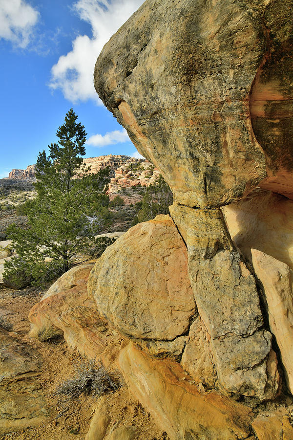 Trail of the Serpent on East Side of Colorado National Monument Photograph by Ray Mathis