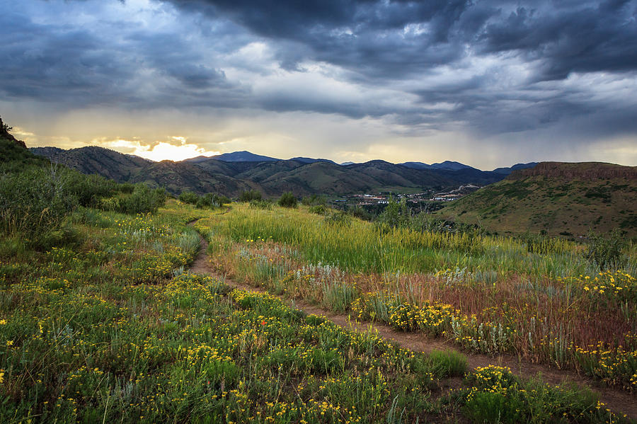 Trail on South Table Mountain by Jeanette Fellows Trail on South Table Mountain by Jeanette Fellows