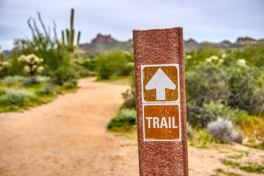 Trail Sign  Photograph by Anthony Giammarino