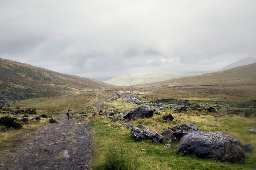 Trail Through Irish Pastures And Photograph by Danielle D. Hughson