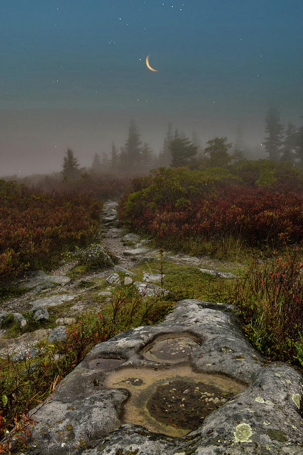 Trail to The Moon Photograph by Lisa Lambert-Shank