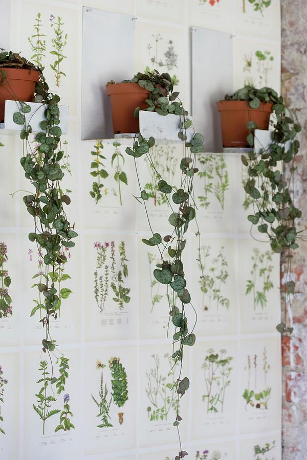 How To Hang Wallpaper The Easy Way