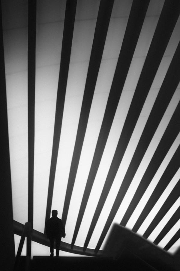 Train Photograph - Trails by Paulo Abrantes