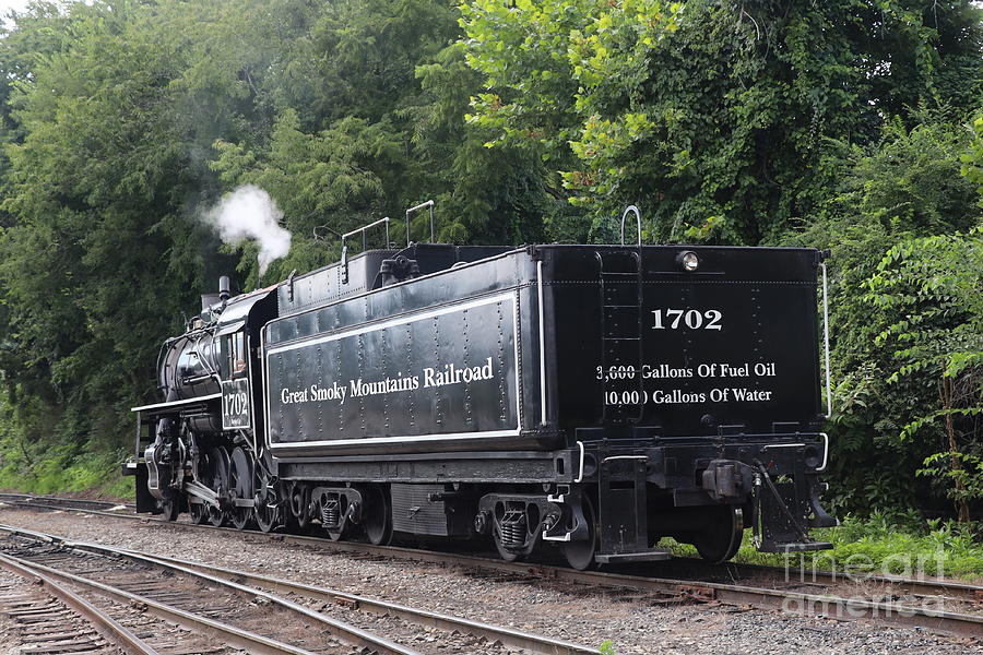 Train 1702 Photograph by Dwight Cook