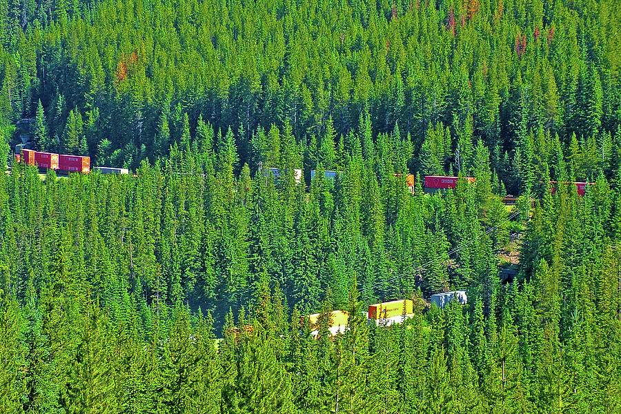 Train in Railway Spiral Tunnel in Yoho National Park, British Columbia
