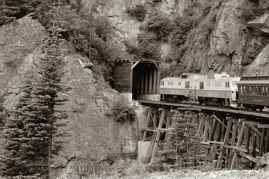 Train Into Tunnel Photograph