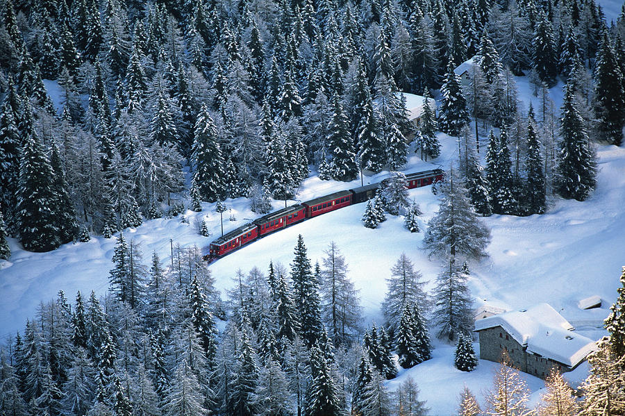 Train Passing Through Forest Digital Art by Livio Piatta
