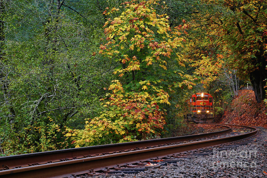Nature Photograph - Train Starting On The Tracks by American School