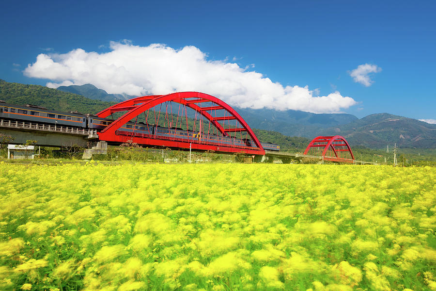 Train Through Rapeseed Flower Field Photograph by Wan Ru Chen