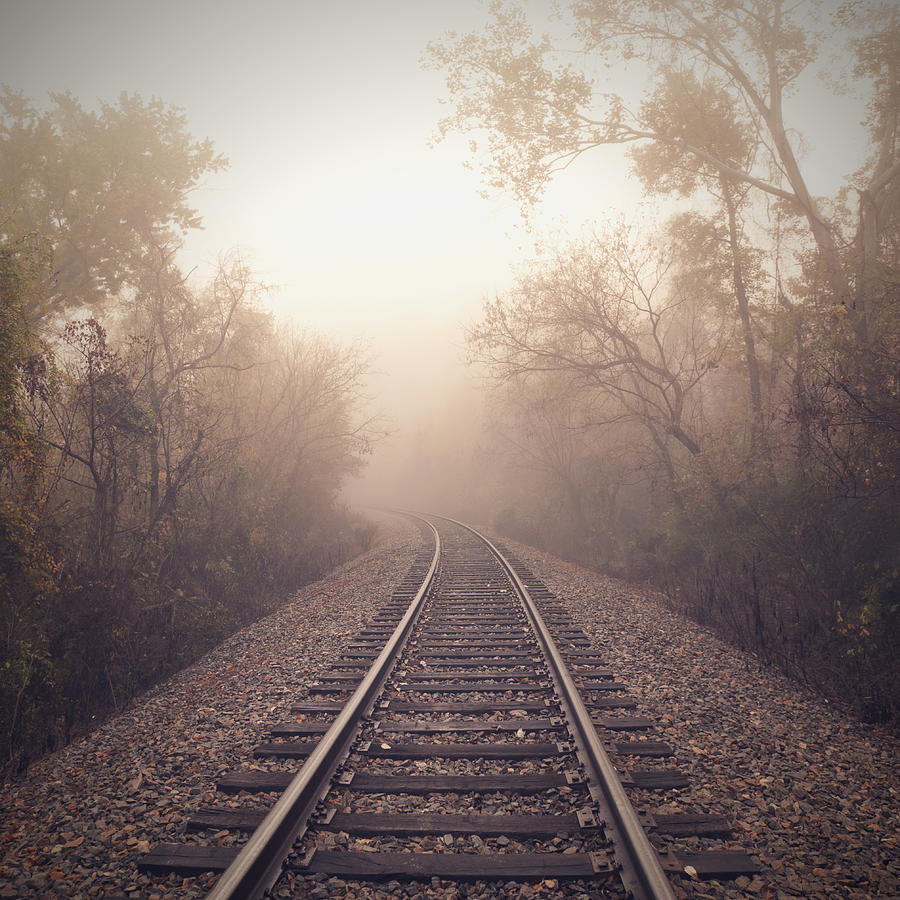 Train Tracks And Fog Photograph by Image By Jamie Betts Photo